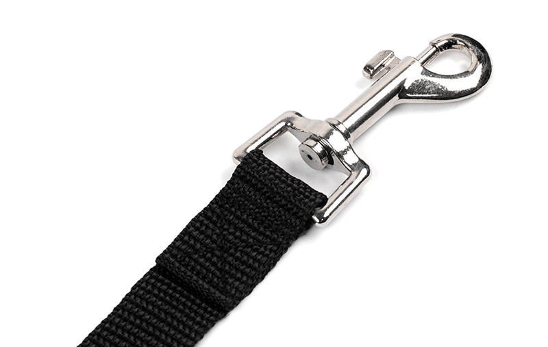 Dog Training Leash (back view) — Australian made dog treats by Huds and Toke